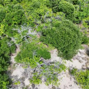 Photo #18 of 1621 Sandpiper Road, Corolla, North Carolina 0.3 acres
