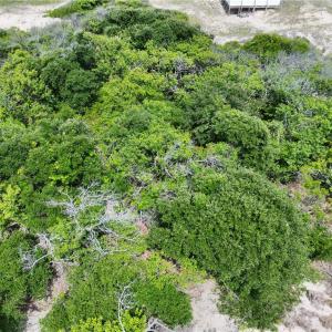 Photo #19 of 1621 Sandpiper Road, Corolla, North Carolina 0.3 acres