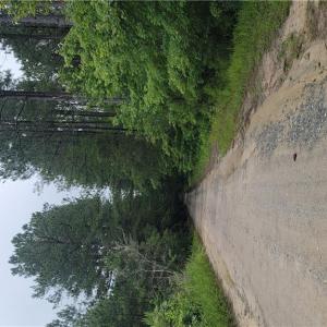 Photo #1 of 25+AC BUCHANAN Lane, Gloucester, Virginia 30.0 acres
