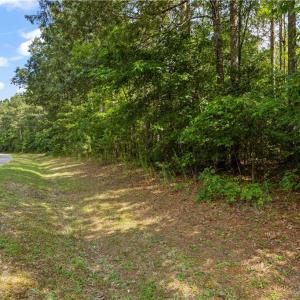 Photo #4 of 5.1+AC Plantation Place, Little Plymouth, Virginia