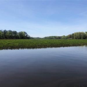 Photo #3 of 339 Neck O Land Road, Williamsburg, Virginia 2.9 acres