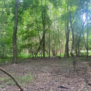 Photo #7 of 339 Neck O Land Road, Williamsburg, Virginia 2.9 acres