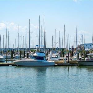 Photo #11 of 1459 Bayville Street, Norfolk, Virginia 0.2 acres