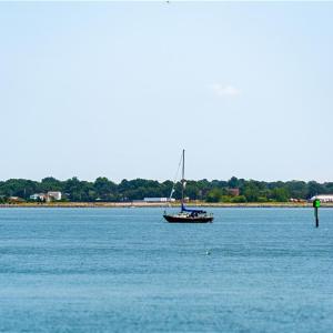 Photo #13 of 1459 Bayville Street, Norfolk, Virginia 0.2 acres