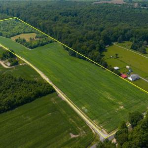 Photo #1 of 25+AC Woods Cross Road, Gloucester, Virginia 25.5 acres