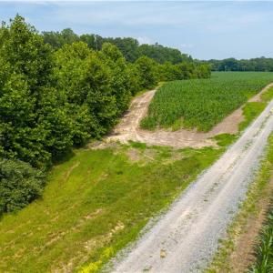 Photo #11 of 25+AC Woods Cross Road, Gloucester, Virginia 25.5 acres