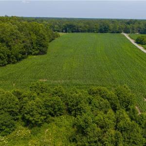 Photo #13 of 25+AC Woods Cross Road, Gloucester, Virginia 25.5 acres