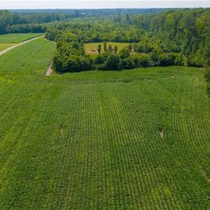 Photo #15 of 25+AC Woods Cross Road, Gloucester, Virginia 25.5 acres