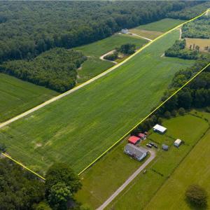 Photo #16 of 25+AC Woods Cross Road, Gloucester, Virginia 25.5 acres