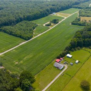 Photo #17 of 25+AC Woods Cross Road, Gloucester, Virginia 25.5 acres