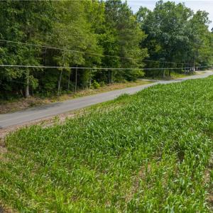 Photo #18 of 25+AC Woods Cross Road, Gloucester, Virginia 25.5 acres