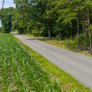 Photo #19 of 25+AC Woods Cross Road, Gloucester, Virginia 25.5 acres