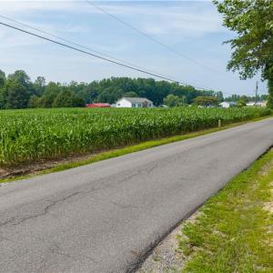 Photo #20 of 25+AC Woods Cross Road, Gloucester, Virginia 25.5 acres