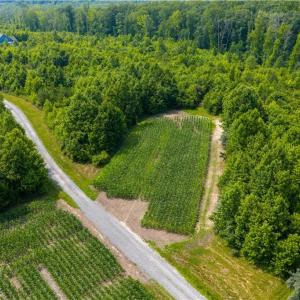 Photo #9 of 25+AC Woods Cross Road, Gloucester, Virginia 25.5 acres