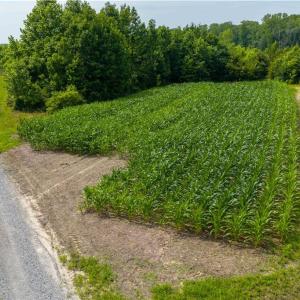 Photo #10 of 25+AC Woods Cross Road, Gloucester, Virginia 25.5 acres