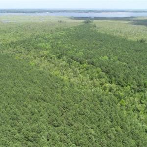over view