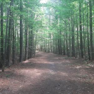 trail