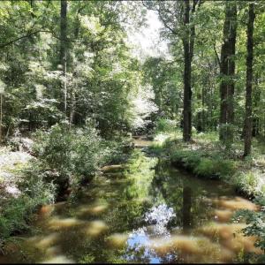 creek