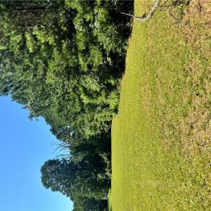 Photo #1 of Parcel 109C-4-5,6,7,8 &9, Painter, Virginia 2.9 acres