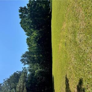 Photo #5 of Parcel 109C-4-5,6,7,8 &9, Painter, Virginia 2.9 acres