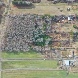 5 Acres