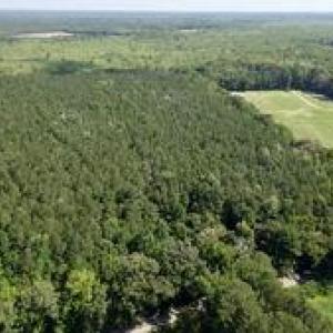 Photo #1 of 3224 Ives Road, Virginia Beach, Virginia 43.9 acres