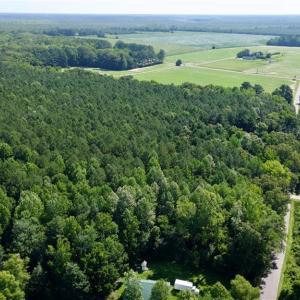 Photo #11 of 3224 Ives Road, Virginia Beach, Virginia 43.9 acres