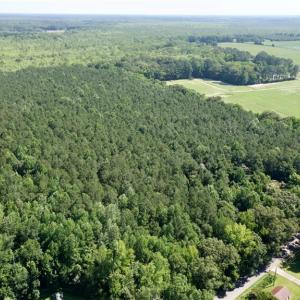 Photo #13 of 3224 Ives Road, Virginia Beach, Virginia 43.9 acres