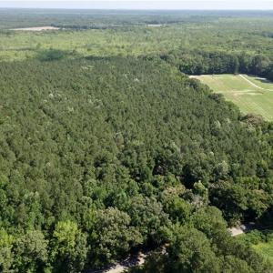 Photo #14 of 3224 Ives Road, Virginia Beach, Virginia 43.9 acres