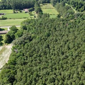 Photo #16 of 3224 Ives Road, Virginia Beach, Virginia 43.9 acres