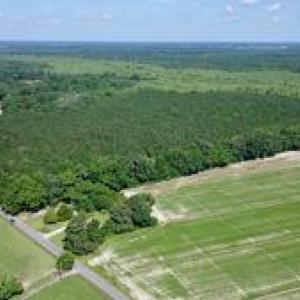 Photo #3 of 3224 Ives Road, Virginia Beach, Virginia 43.9 acres