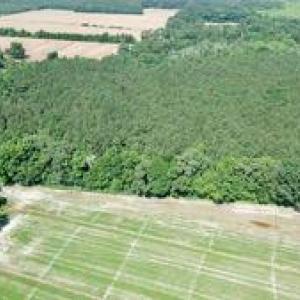 Photo #5 of 3224 Ives Road, Virginia Beach, Virginia 43.9 acres