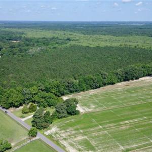 Photo #7 of 3224 Ives Road, Virginia Beach, Virginia 43.9 acres