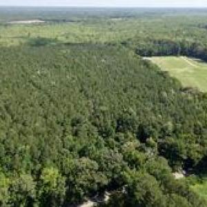 Photo #2 of 3224 Ives Road, Virginia Beach, Virginia 43.9 acres