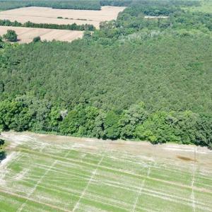 Photo #15 of 3224 Ives Road, Virginia Beach, Virginia 43.9 acres