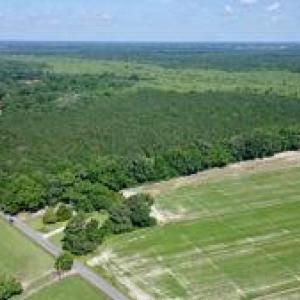 Photo #3 of 3224 Ives Road, Virginia Beach, Virginia 43.9 acres