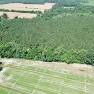 Photo #5 of 3224 Ives Road, Virginia Beach, Virginia 43.9 acres