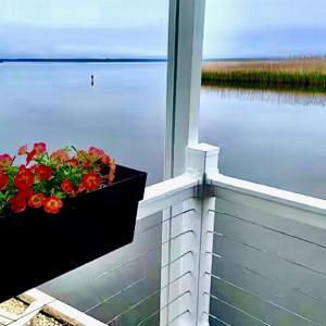 Photo #19 of 3665 Sandpiper Road, Virginia Beach, Virginia