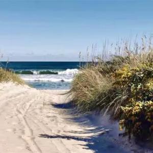 Photo #28 of 3665 Sandpiper Road, Virginia Beach, Virginia