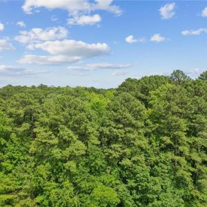 Photo #13 of 13630 Woodside Lane, Newport News, Virginia 5.1 acres