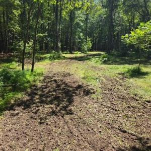 Photo #4 of 13630 Woodside Lane, Newport News, Virginia 5.1 acres