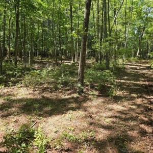 Photo #10 of 13630 Woodside Lane, Newport News, Virginia 5.1 acres