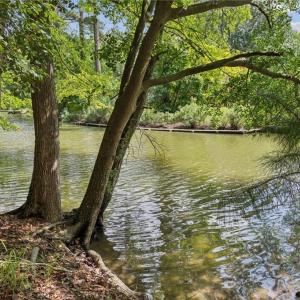 Photo #6 of 1404 Seaford Road, Seaford, Virginia 5.7 acres