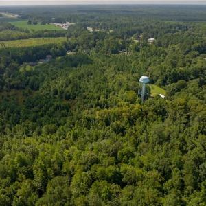 Photo #13 of 26+ AC Nottoway Drive, Courtland, Virginia 26.7 acres