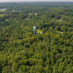 Photo #14 of 26+ AC Nottoway Drive, Courtland, Virginia 26.7 acres