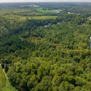 Photo #15 of 26+ AC Nottoway Drive, Courtland, Virginia 26.7 acres