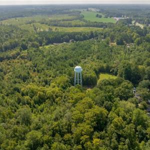 Photo #17 of 26+ AC Nottoway Drive, Courtland, Virginia 26.7 acres