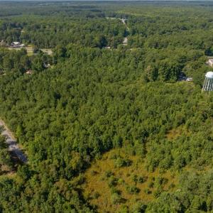 Photo #3 of 26+ AC Nottoway Drive, Courtland, Virginia 26.7 acres