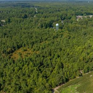 Photo #4 of 26+ AC Nottoway Drive, Courtland, Virginia 26.7 acres