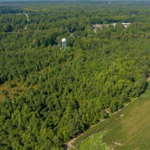 Photo #5 of 26+ AC Nottoway Drive, Courtland, Virginia 26.7 acres